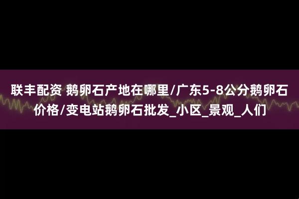 联丰配资 鹅卵石产地在哪里/广东5-8公分鹅卵石价格/变电站鹅卵石批发_小区_景观_人们