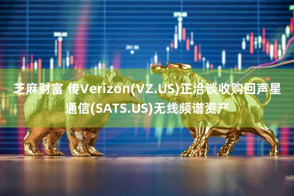 芝麻财富 传Verizon(VZ.US)正洽谈收购回声星通信(SATS.US)无线频谱资产