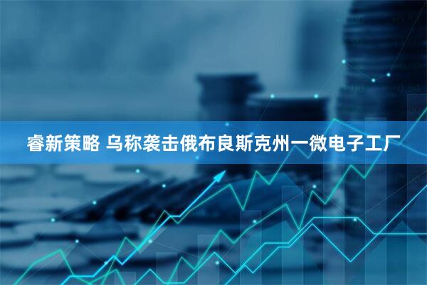 睿新策略 乌称袭击俄布良斯克州一微电子工厂